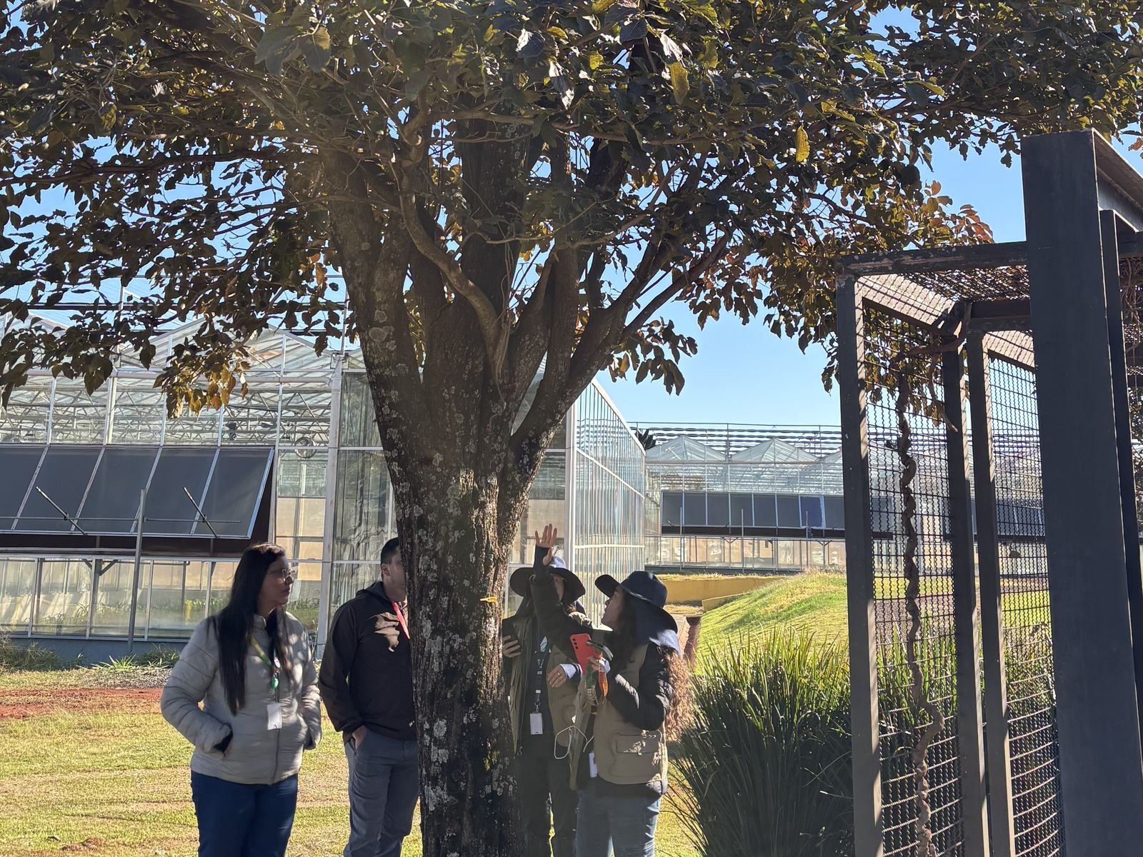 Equipe da AREAMB realizando inventário arbóreo para autorização de supressão de vegetação